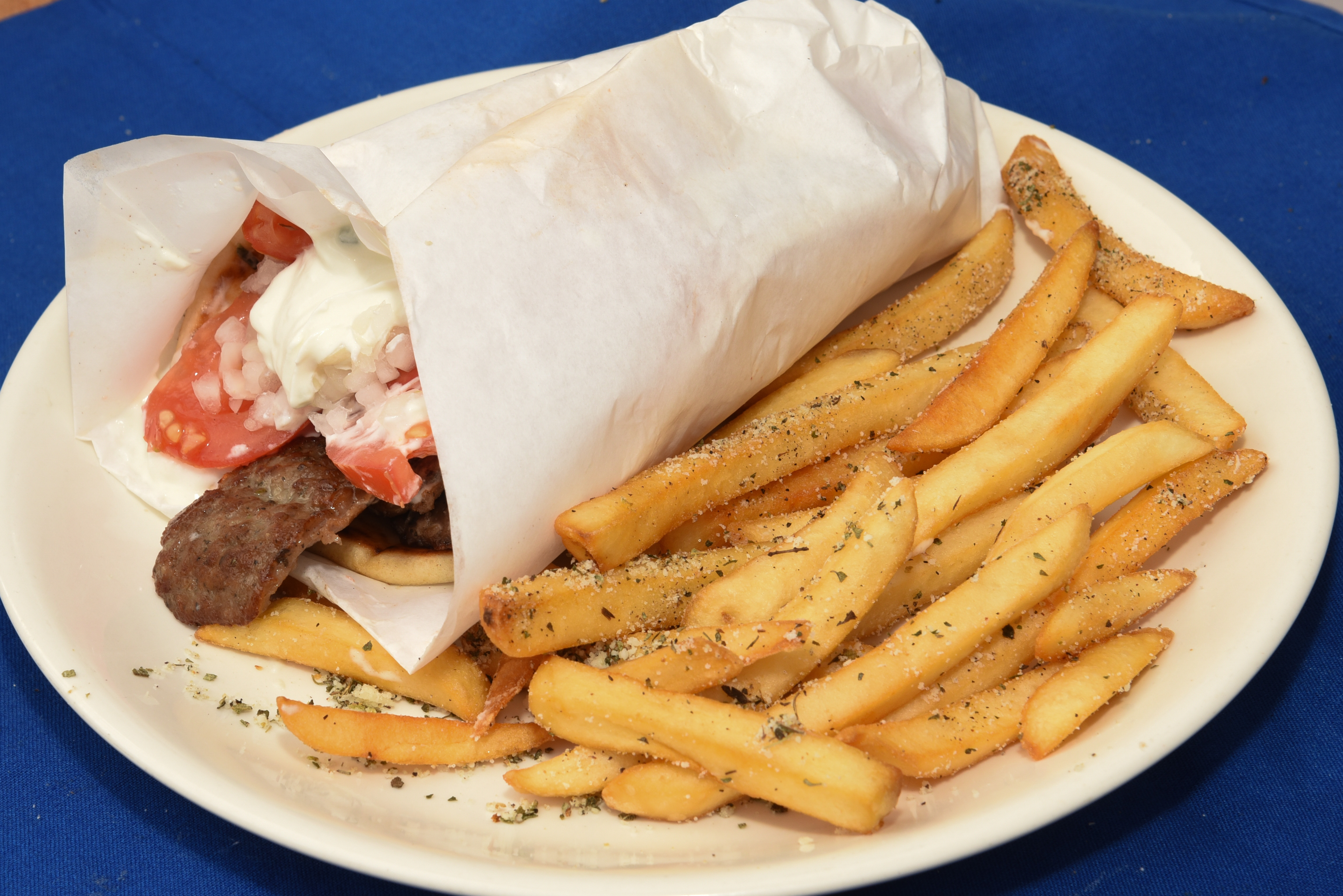 Gyro and Greek fries